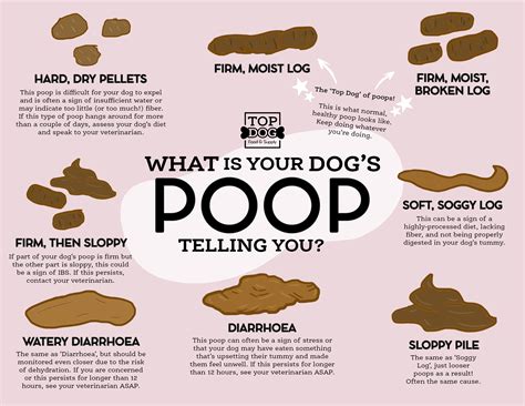 uses for dog poop.
